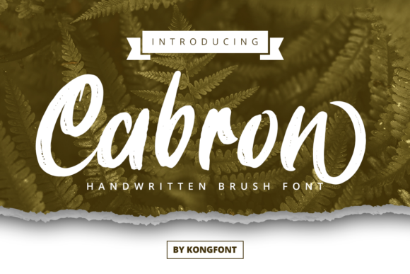 Cabron Font Review: A Playful Script for Modern Designers