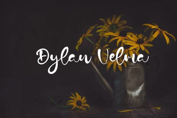 Elevate Your Brand with Dylan Velma Script Font