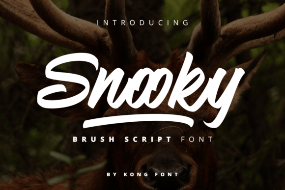 Snooky Font Review: A Playful Typeface for Social Campaigns